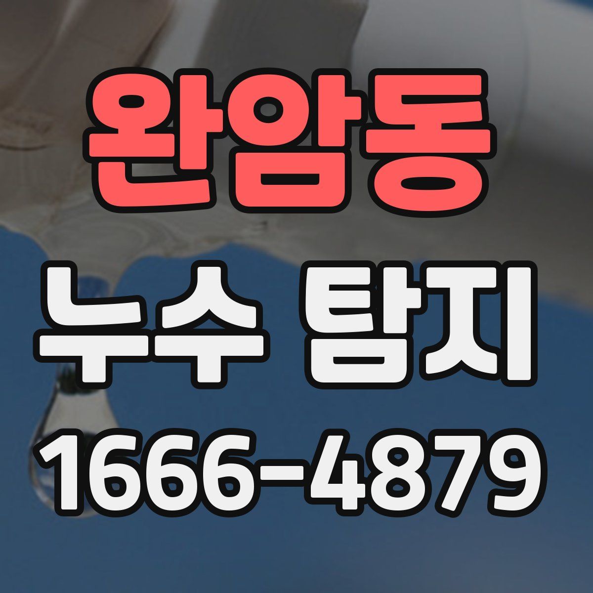 완암동 누수 탐지