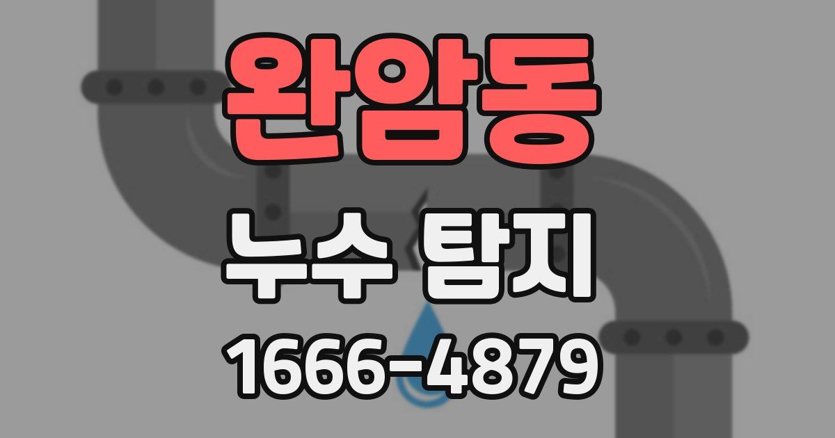 완암동 누수 탐지