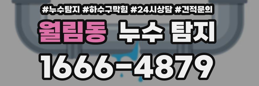 월림동 누수 탐지