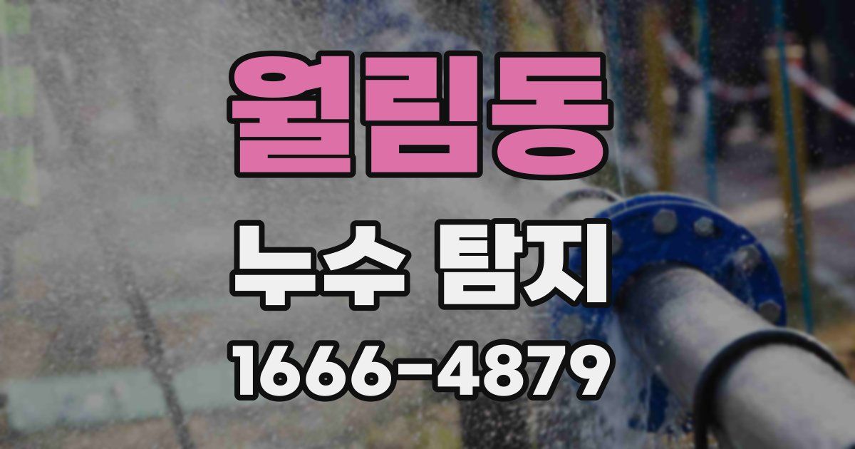 월림동 누수 탐지
