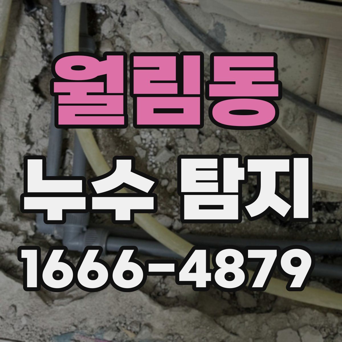 월림동 누수 탐지