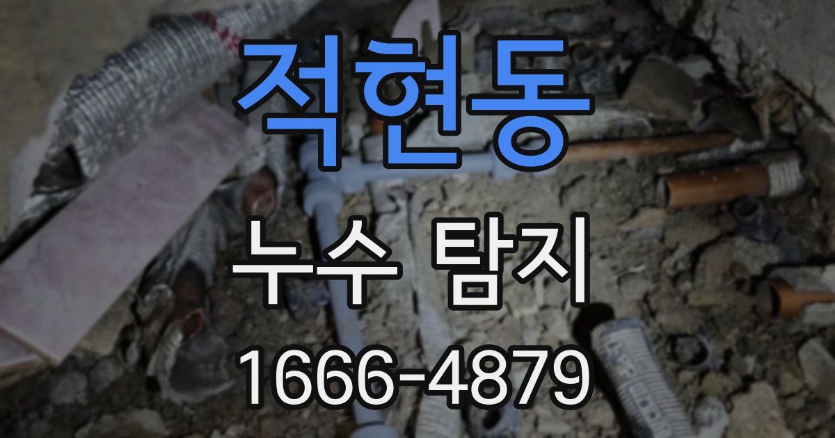 적현동 누수 탐지