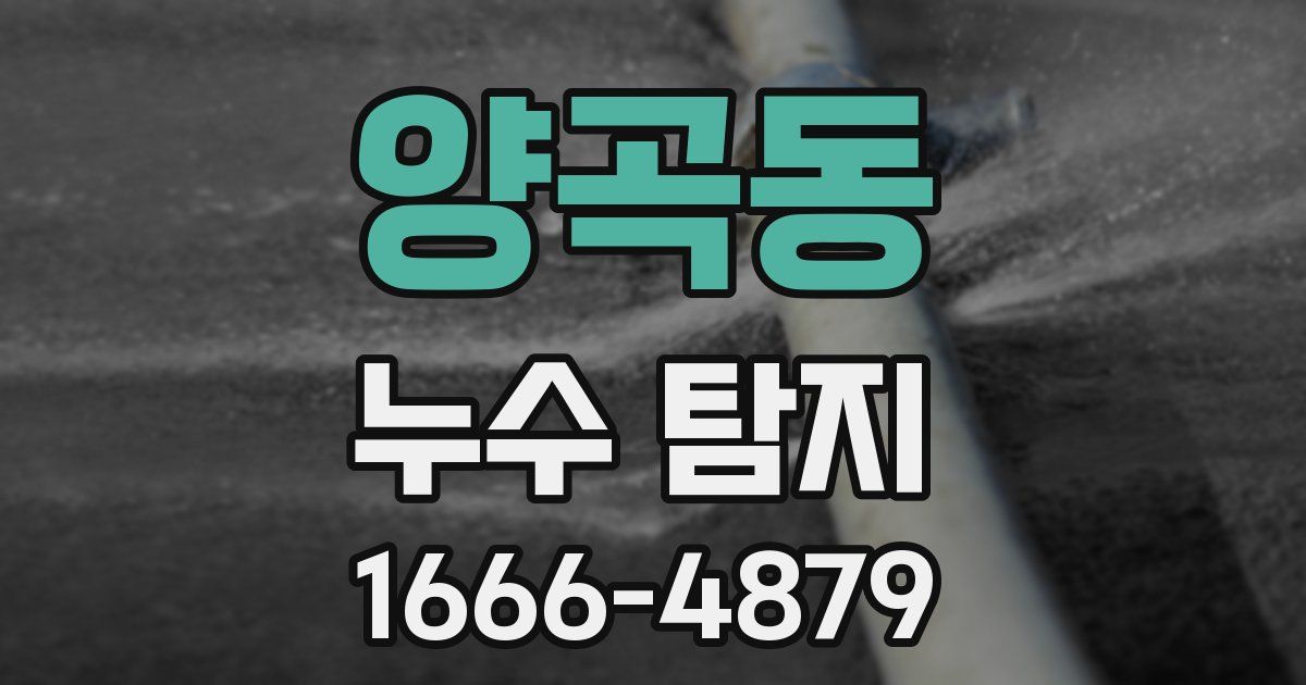 양곡동 누수 탐지