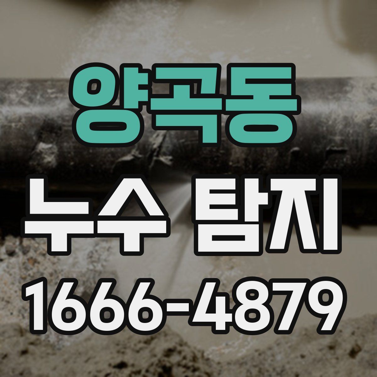 양곡동 누수 탐지