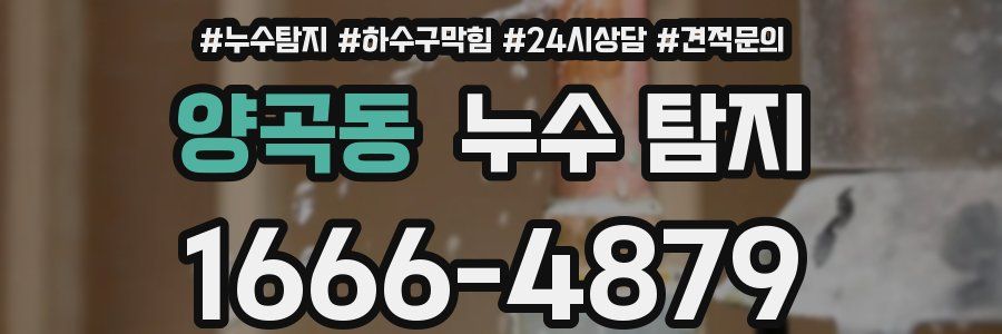 양곡동 누수 탐지