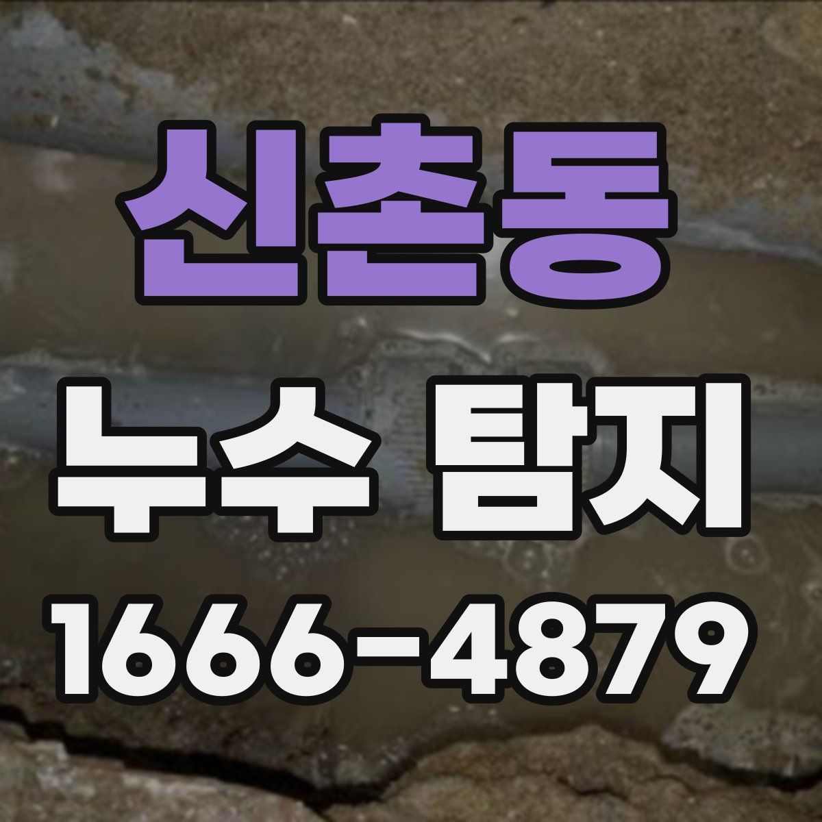 신촌동 누수 탐지