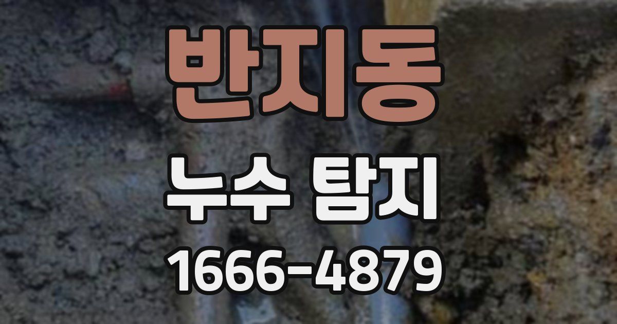 반지동 누수 탐지