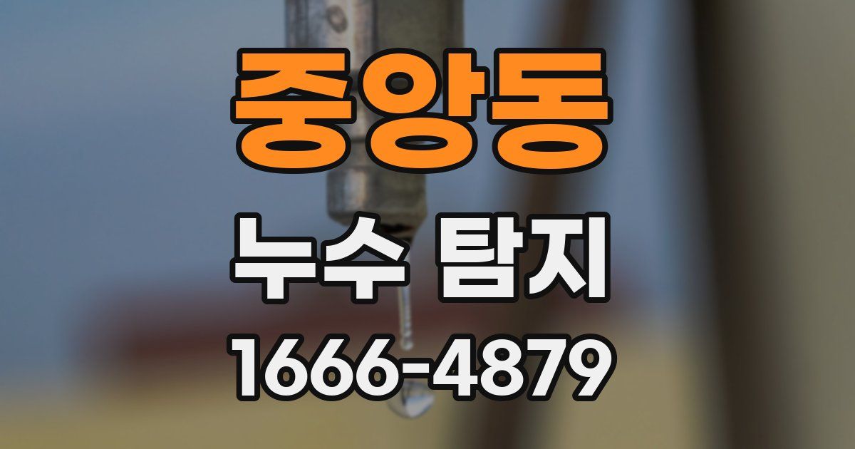 중앙동 누수 탐지