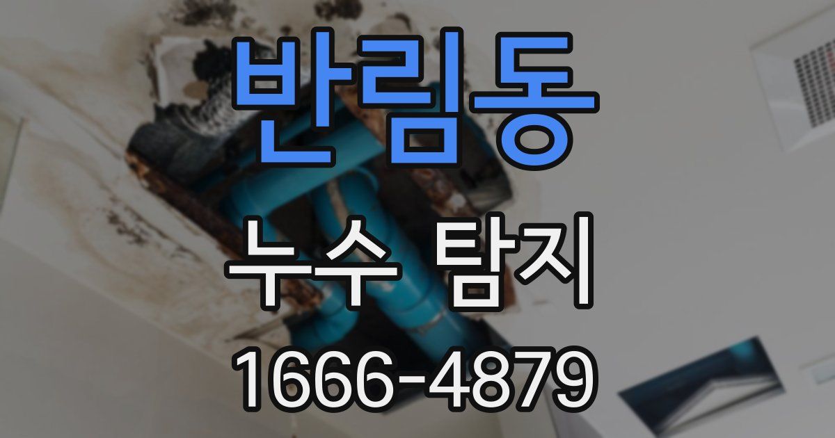 반림동 누수 탐지