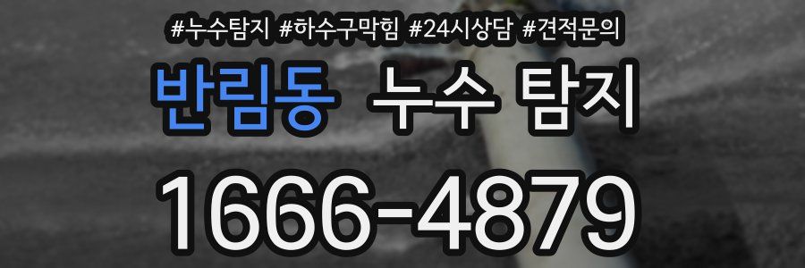 반림동 누수 탐지