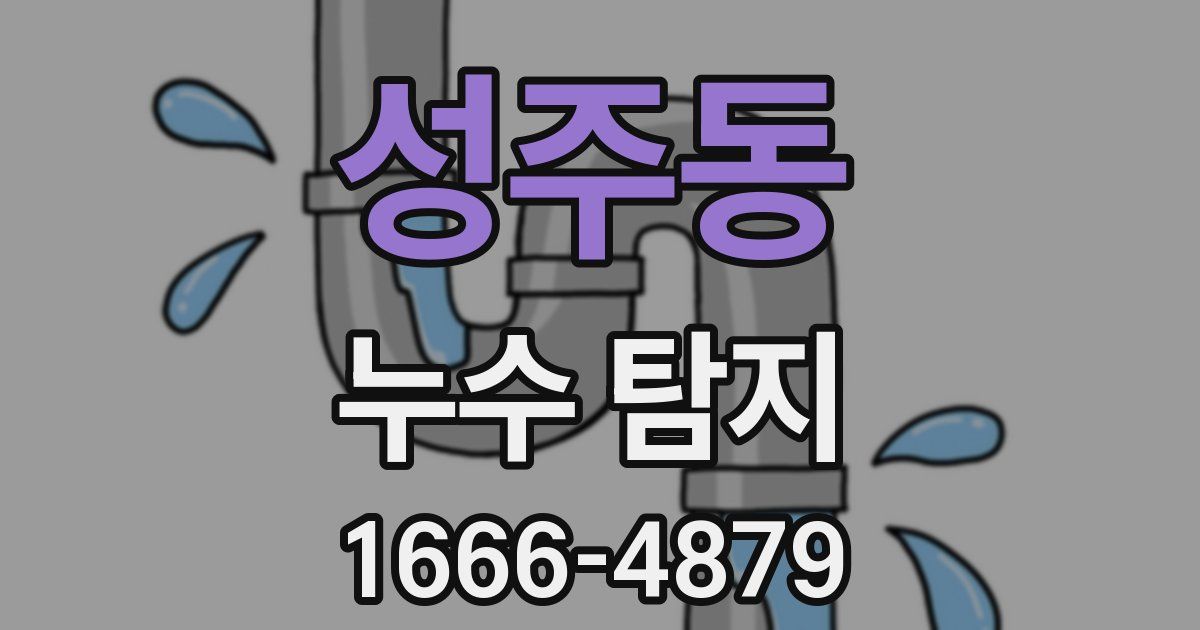 성주동 누수 탐지