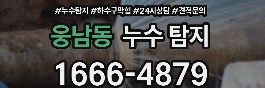 웅남동 누수 탐지