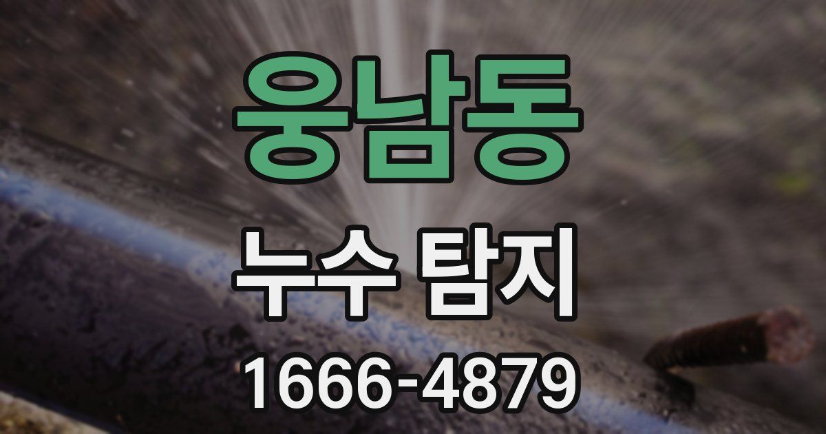 웅남동 누수 탐지