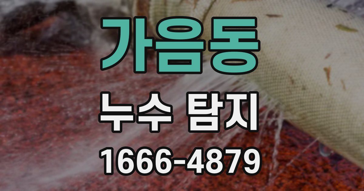 가음동 누수 탐지