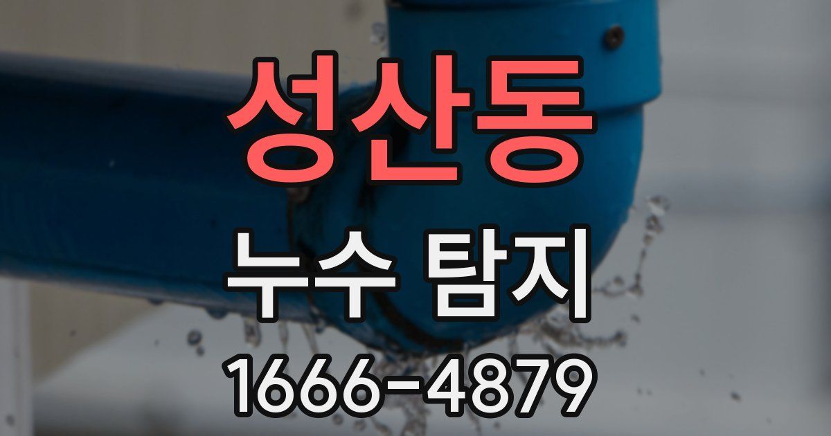 성산동 누수 탐지