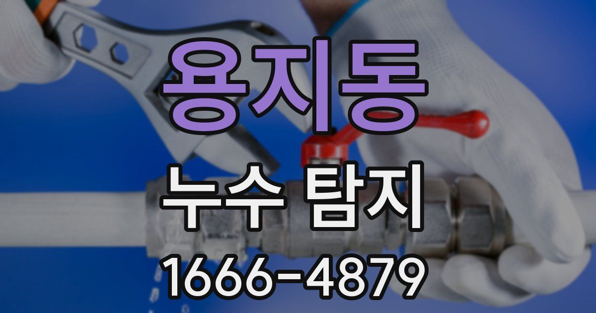 용지동 누수 탐지