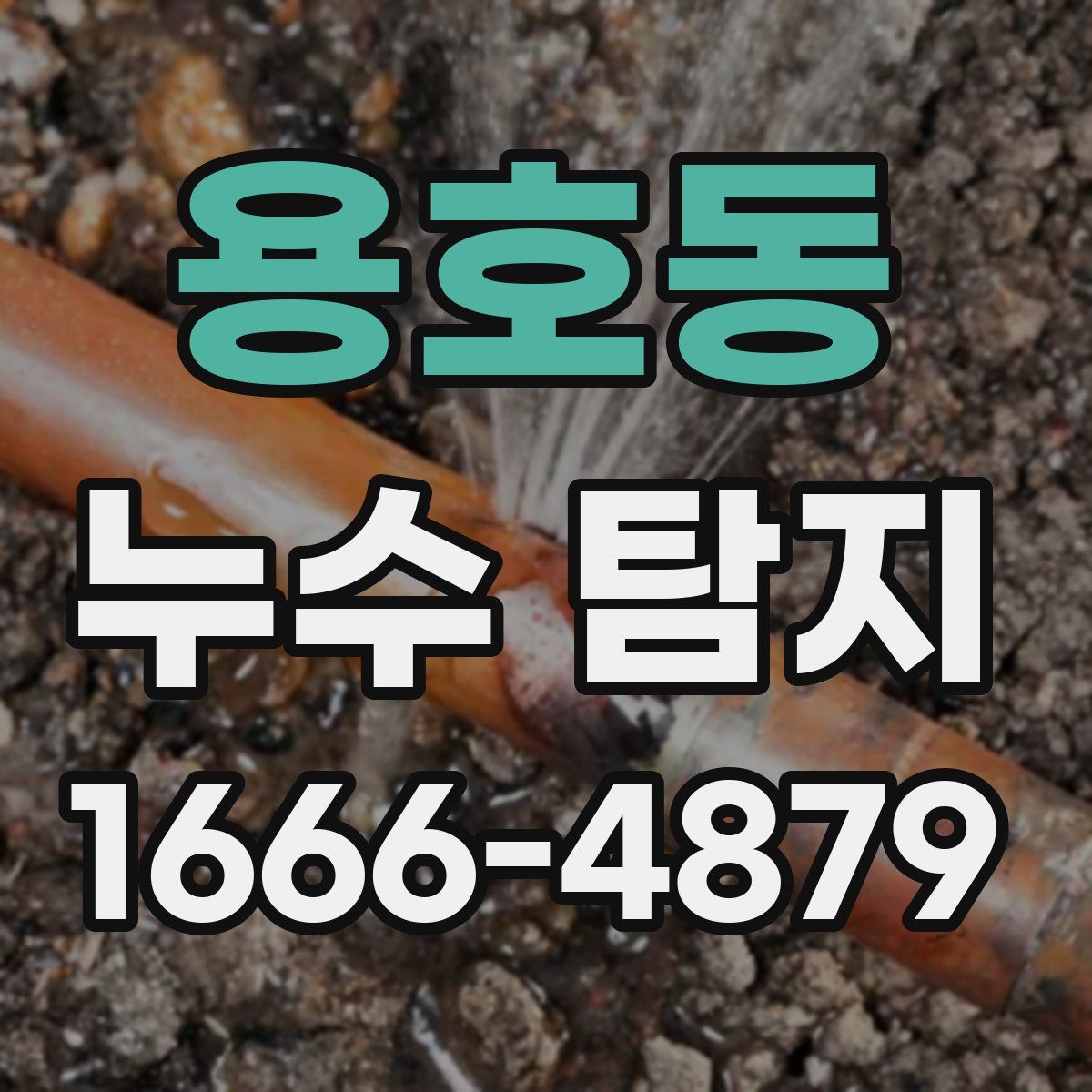 용호동 누수 탐지