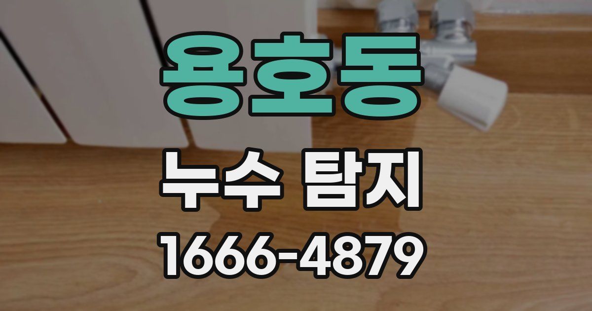 용호동 누수 탐지