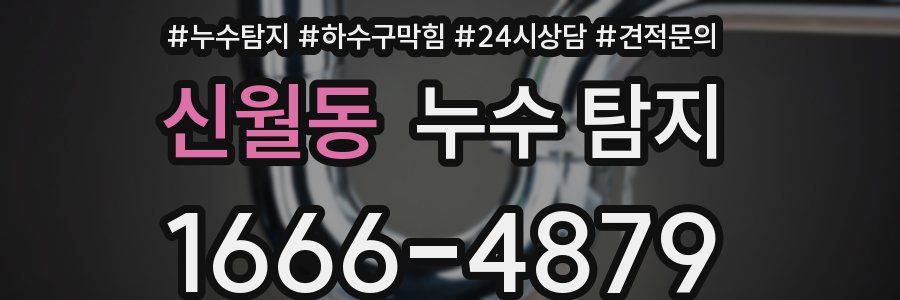 신월동 누수 탐지