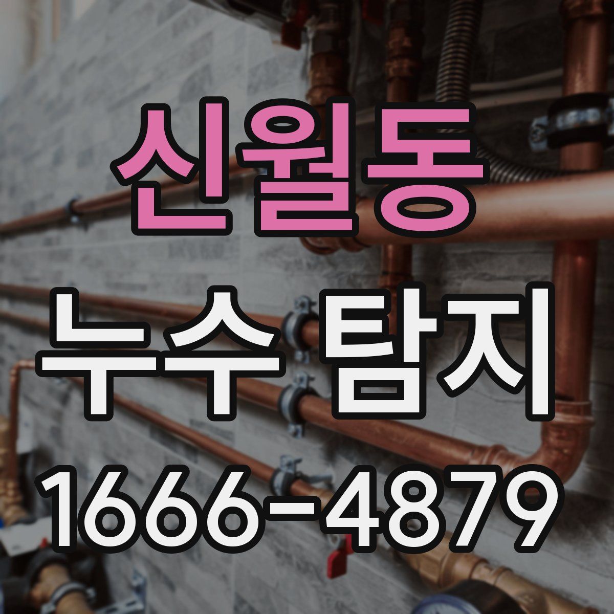 신월동 누수 탐지
