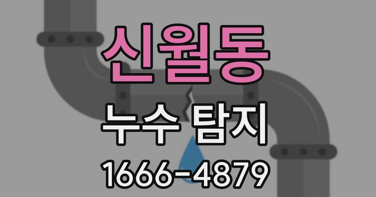 신월동 누수 탐지