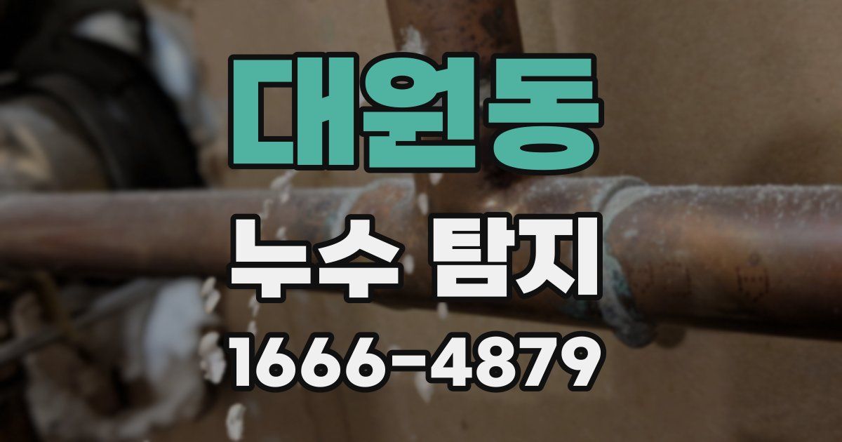 대원동 누수 탐지