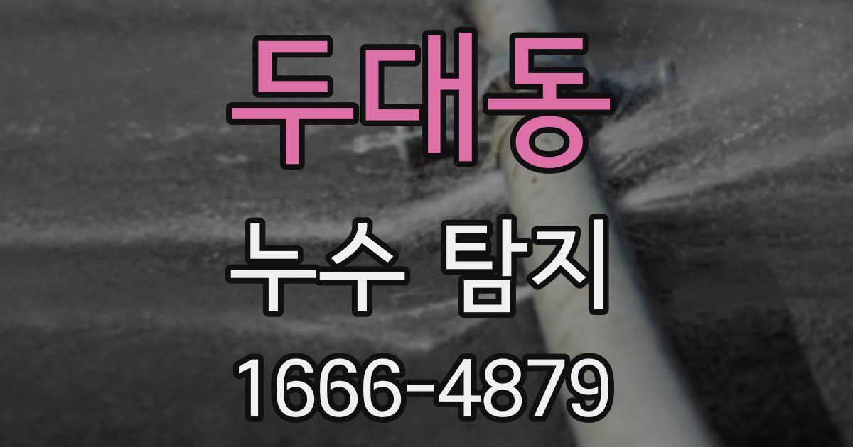 두대동 누수 탐지