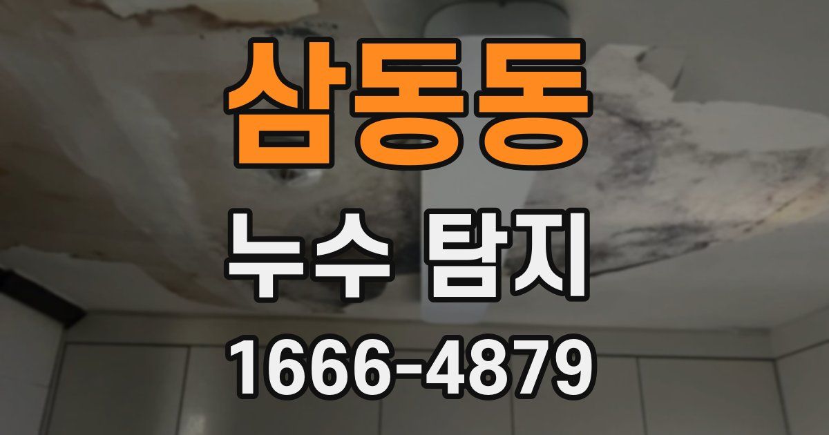 삼동동 누수 탐지
