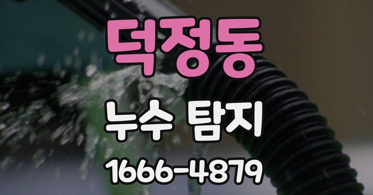 덕정동 누수 탐지