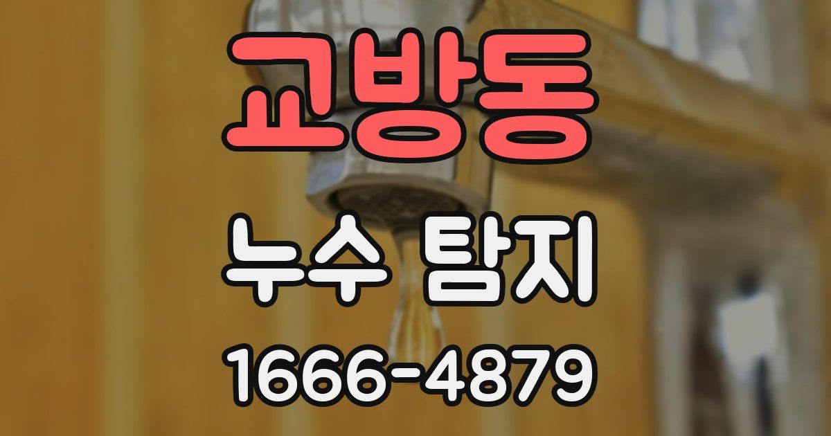 교방동 누수 탐지