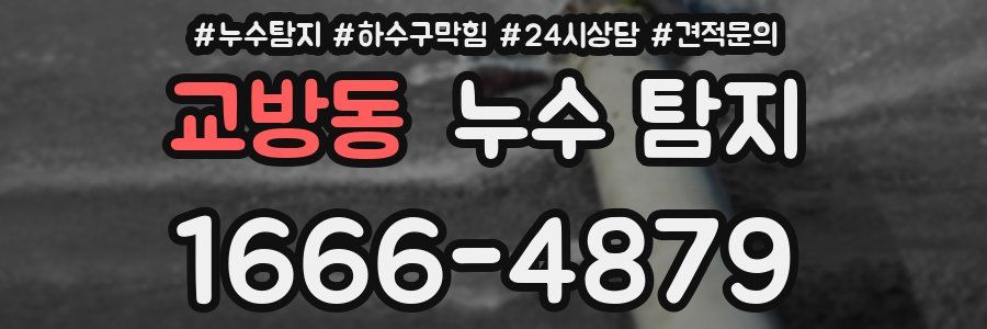 교방동 누수 탐지