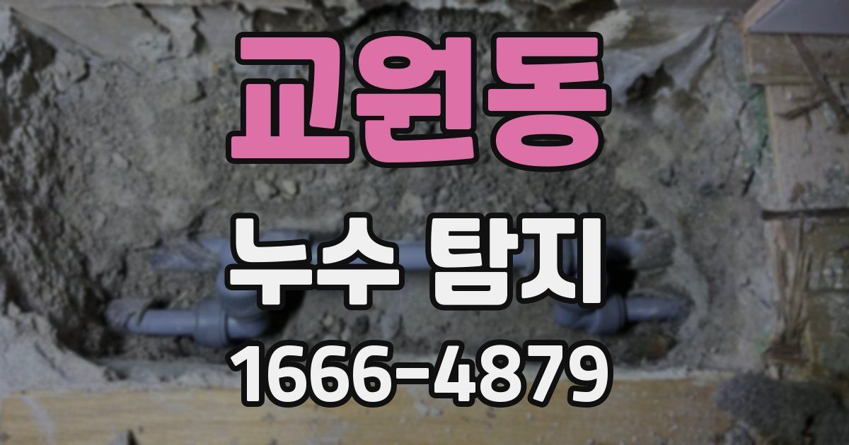 교원동 누수 탐지