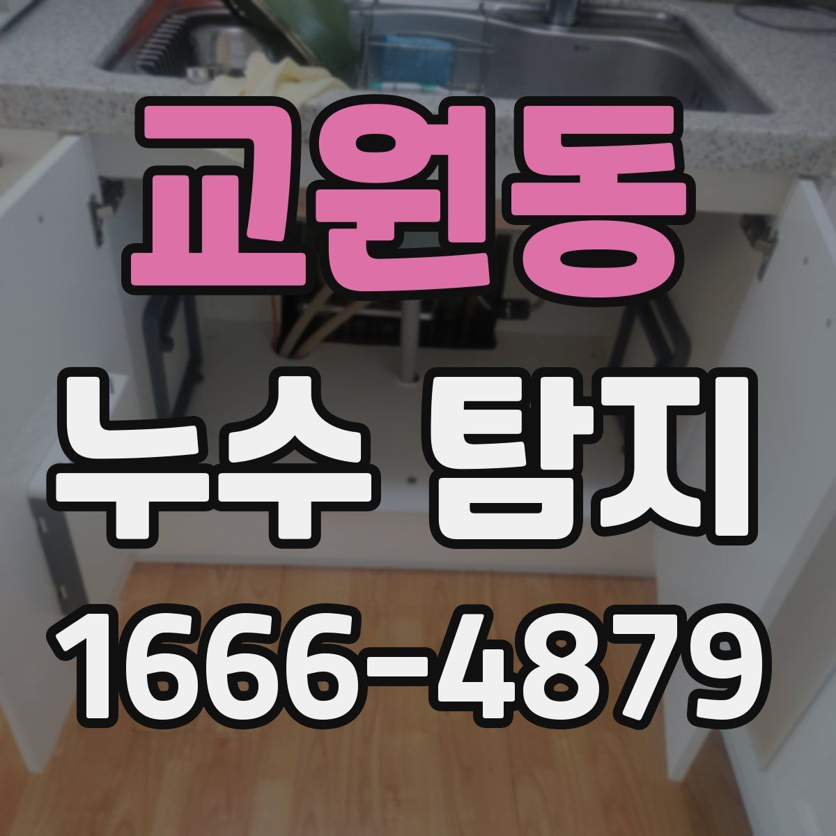 교원동 누수 탐지