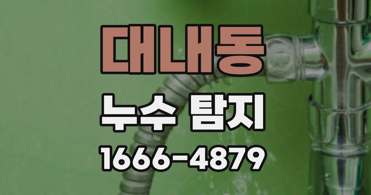 대내동 누수 탐지