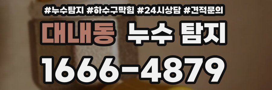 대내동 누수 탐지