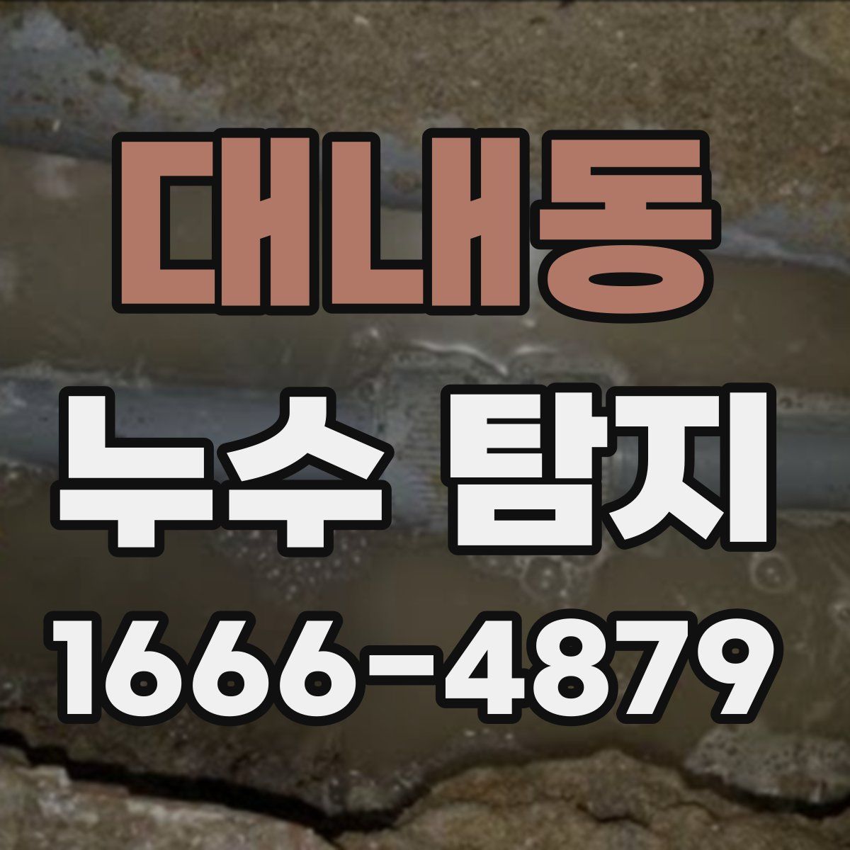 대내동 누수 탐지
