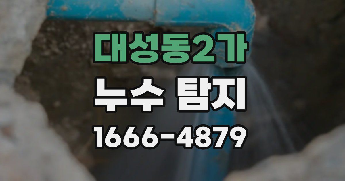 대성동2가 누수 탐지