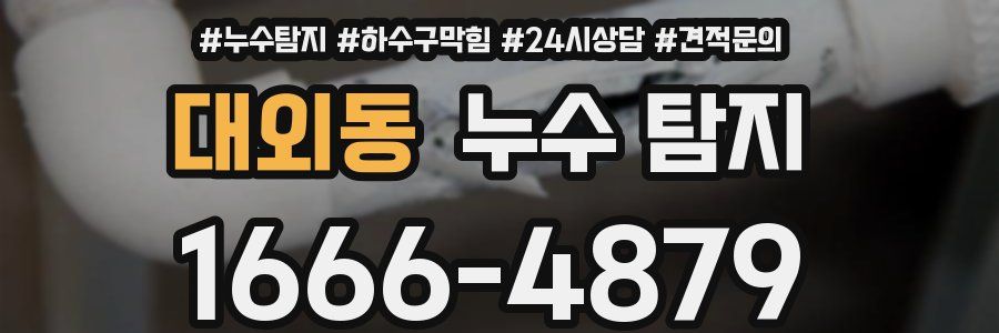 대외동 누수 탐지