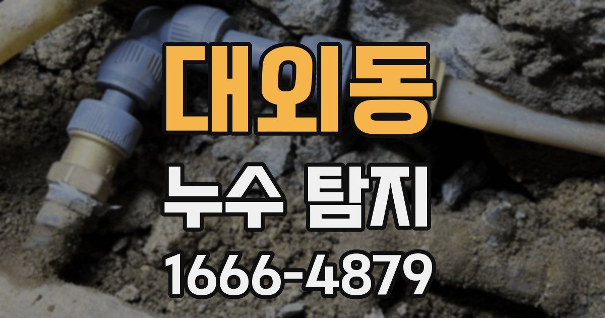 대외동 누수 탐지