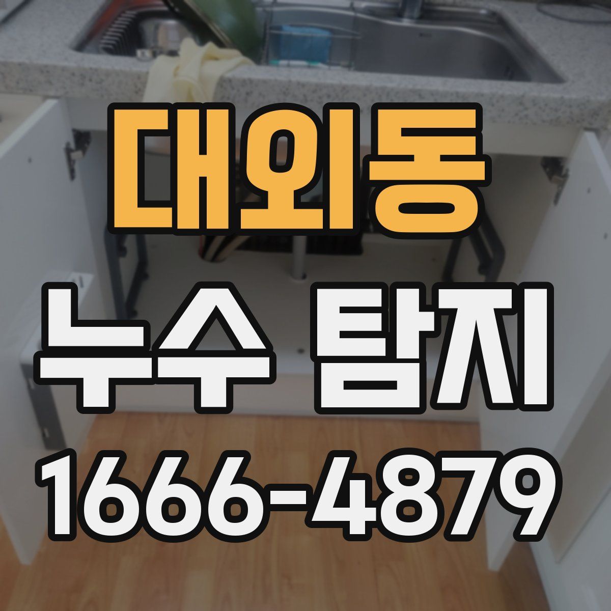 대외동 누수 탐지