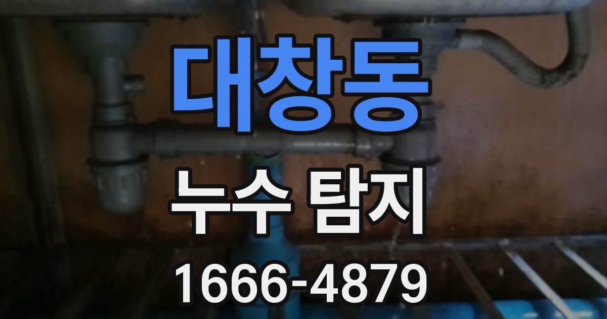 대창동 누수 탐지