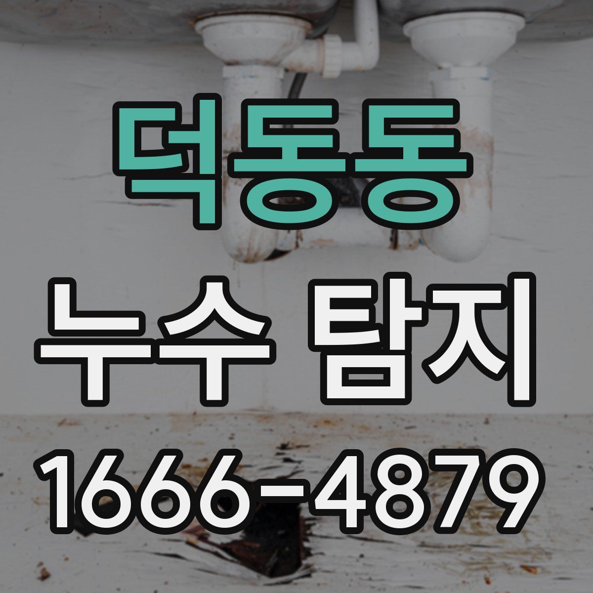 덕동동 누수 탐지