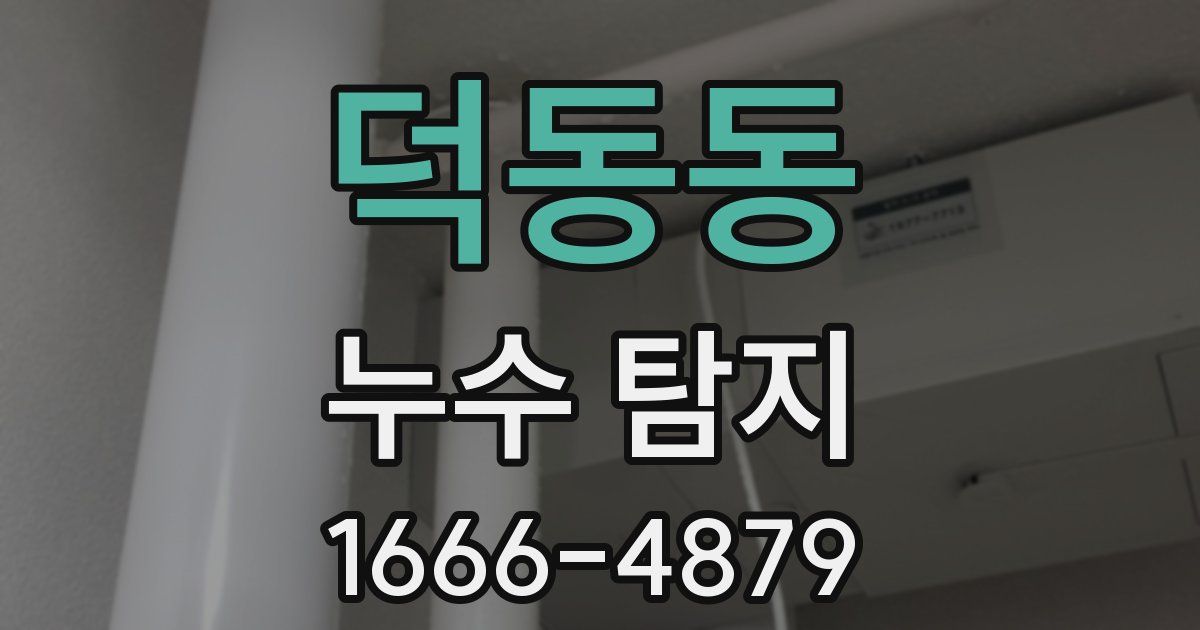 덕동동 누수 탐지