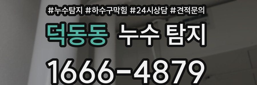 덕동동 누수 탐지