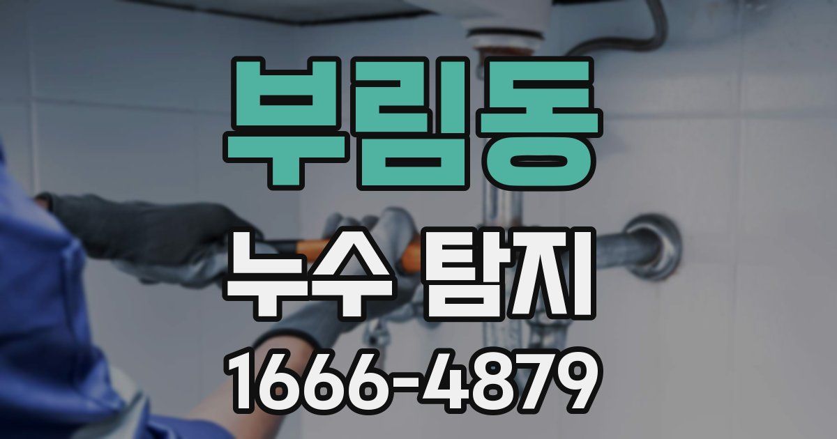 부림동 누수 탐지