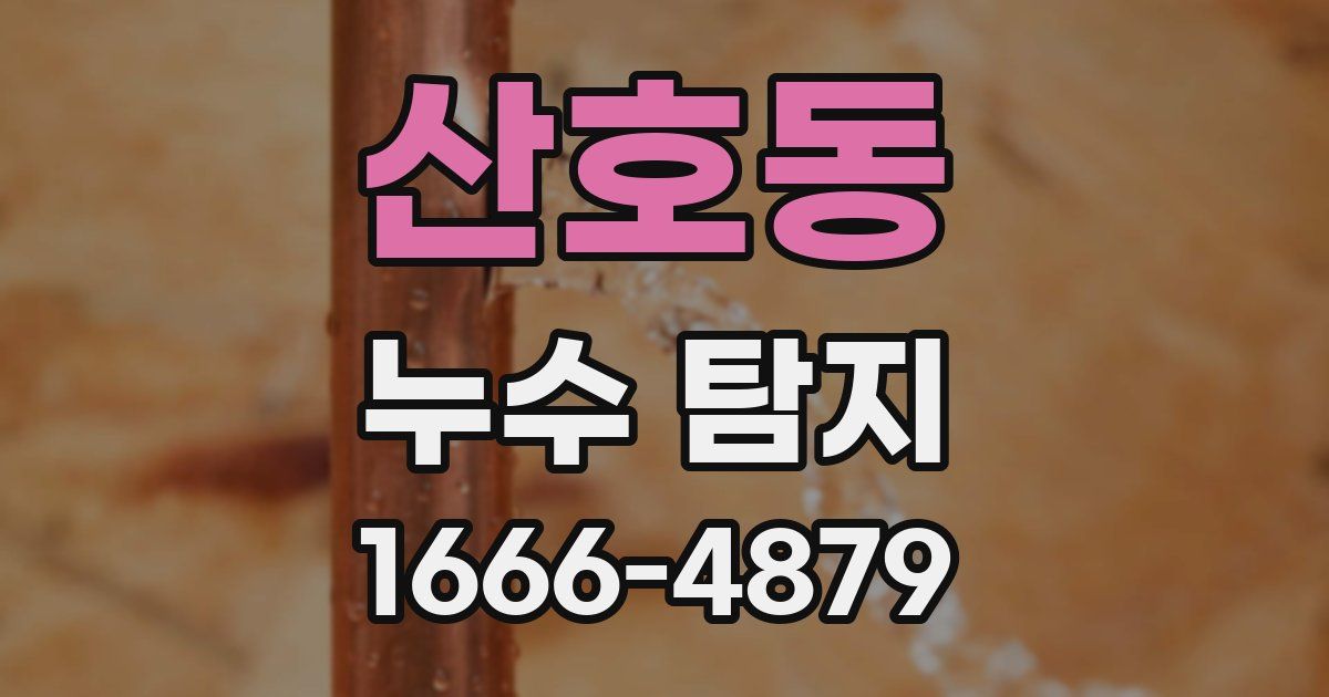 산호동 누수 탐지