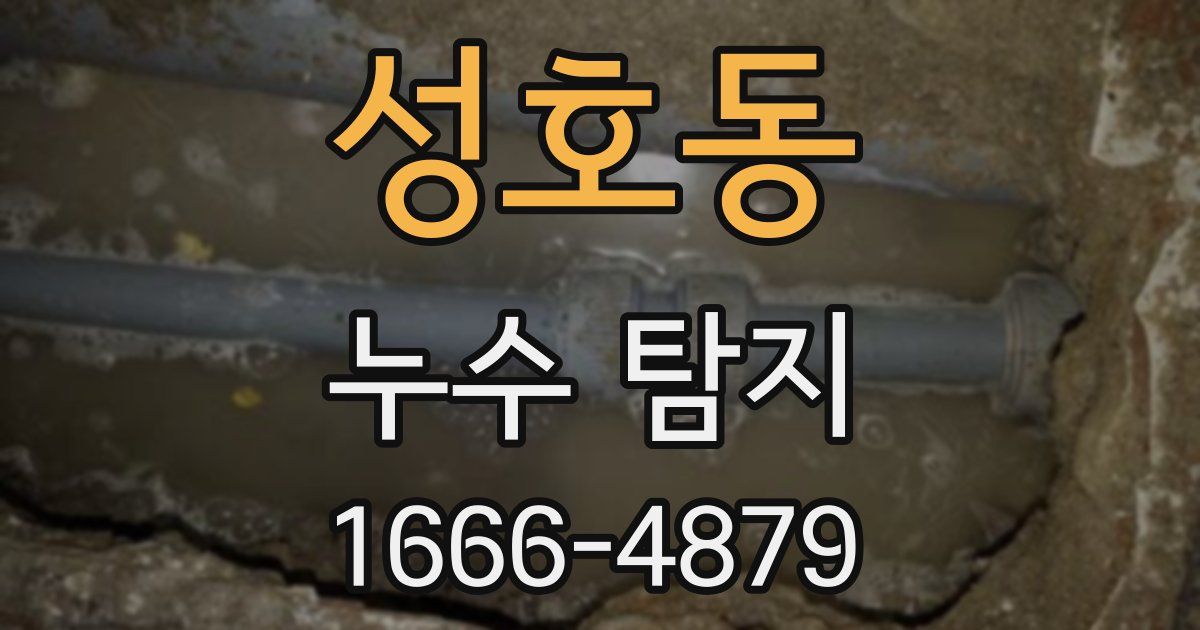 성호동 누수 탐지