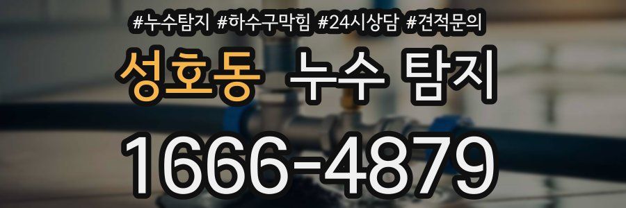 성호동 누수 탐지