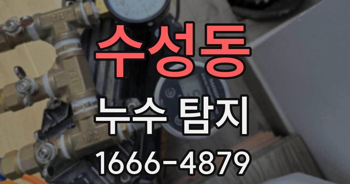수성동 누수 탐지