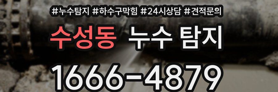 수성동 누수 탐지
